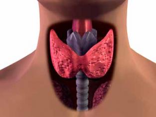 ARTICLE: WHAT ARE THE MOST COMMON THYROID DISORDERS?